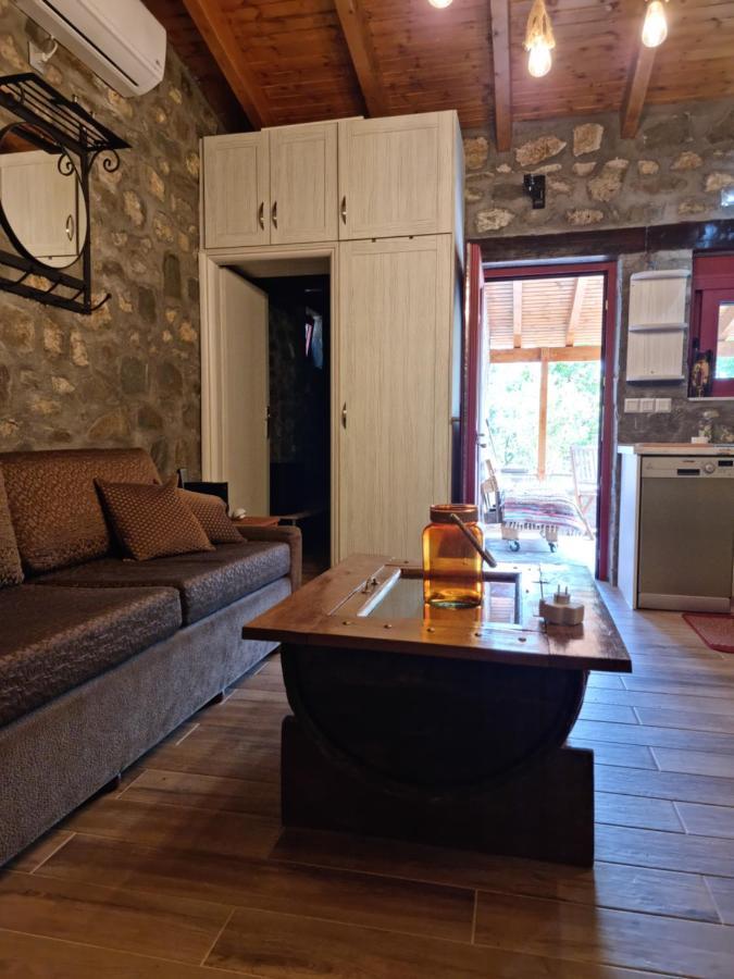 House With Big Garden And Barbeque In Nature Βουργαρέλι Εξωτερικό φωτογραφία